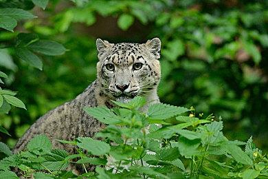 向死而生：屡败屡战游戏节 Steam开启特惠活动