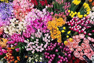 《全面战争：法老》拍照模式预告 今日正式发售